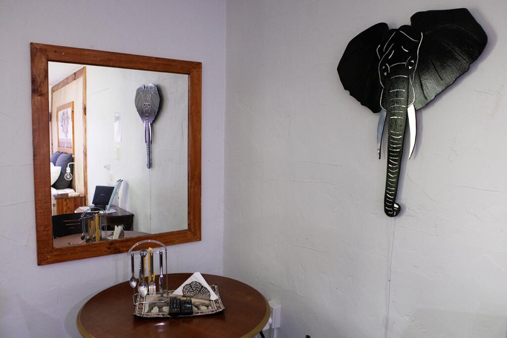 The Elephant Room_4