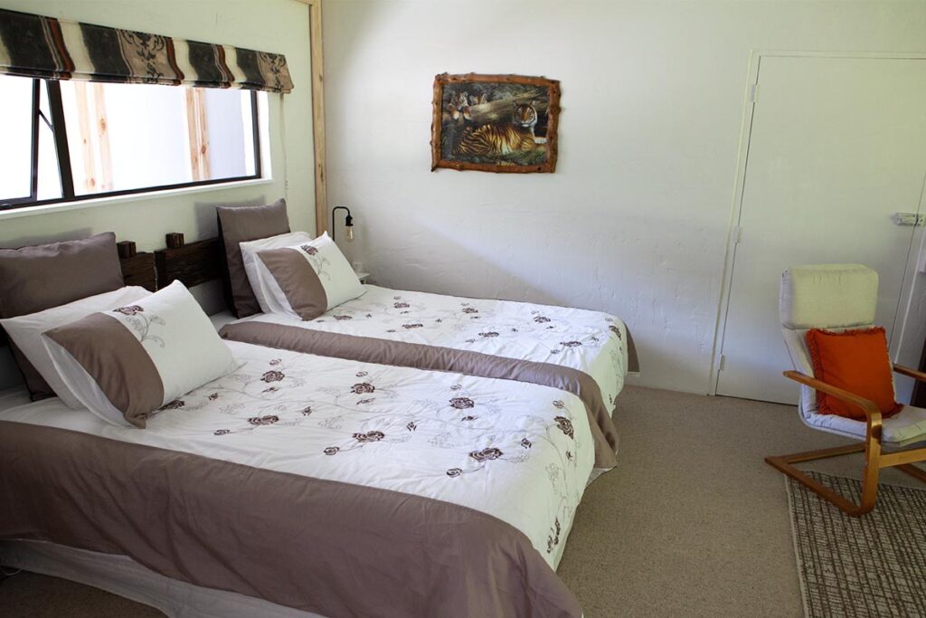 The Wild Cats Room_2